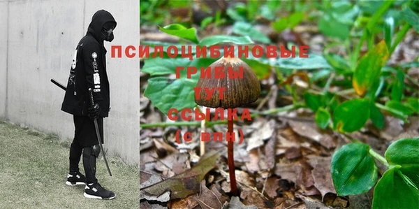 а пвп мука Абдулино